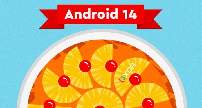 fitur baru Android 14