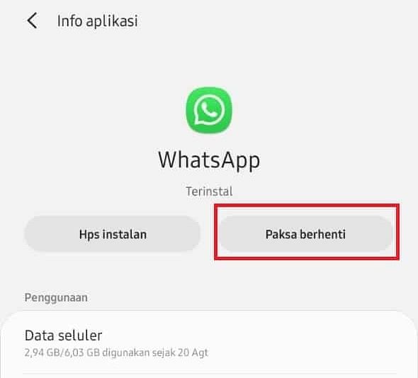 6 Cara Mematikan WA Sementara 1