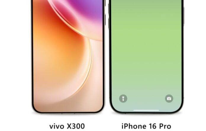 vivo X300